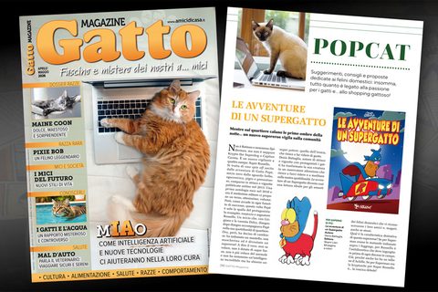 Un Supergatto tra i gatti