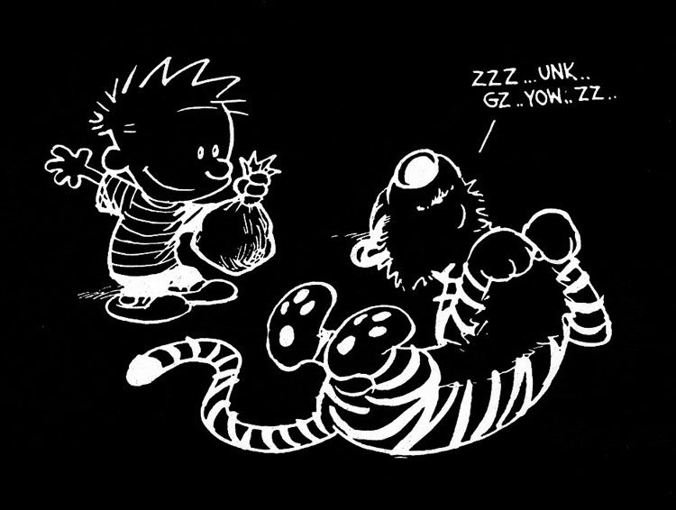 Calvin and Hobbes