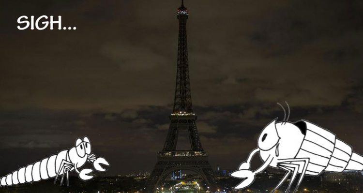 Parigi, 13 novembre 2015