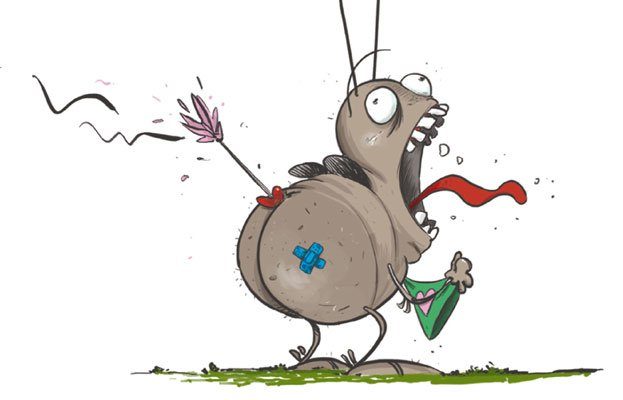 Il Pappatacio torna a Castiglione